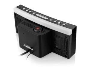 Часы-радио FA-2420-4