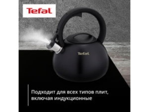 Fierbătorul cu fluier Tefal Duetto+ 2.5L N4180410