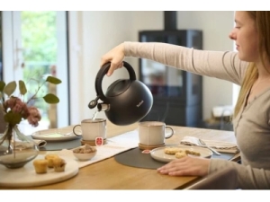 Fierbătorul cu fluier Tefal Duetto+ 2.5L N4180410
