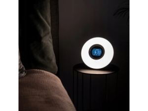 Часы-радио FA-2419-1