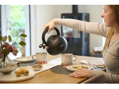 Fierbătorul cu fluier Tefal Duetto+ 2.5L N4180410